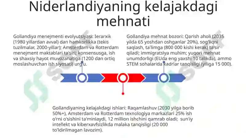 Zamonaviy Gollandiya menejmenti 3