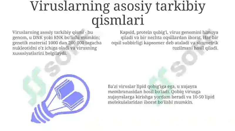 Viruslarning kimyoviy tarkibi 3