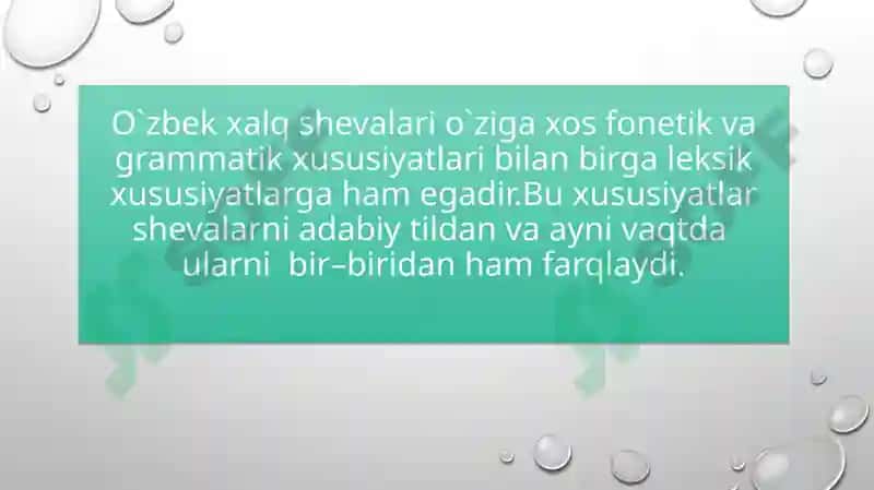 O'zbek tili shevalari leksikasi 3