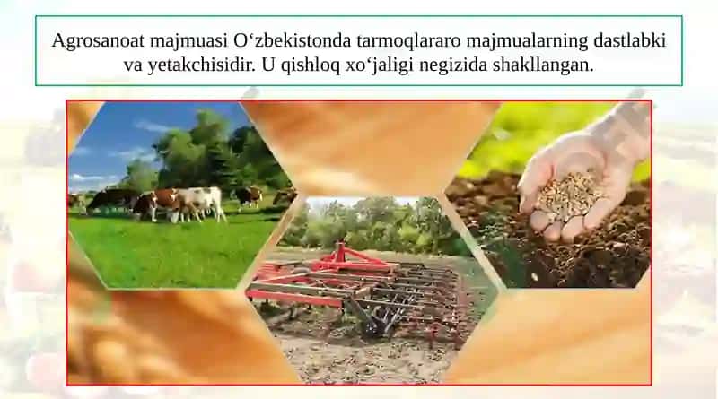 Agrosanoat Majumasi 3