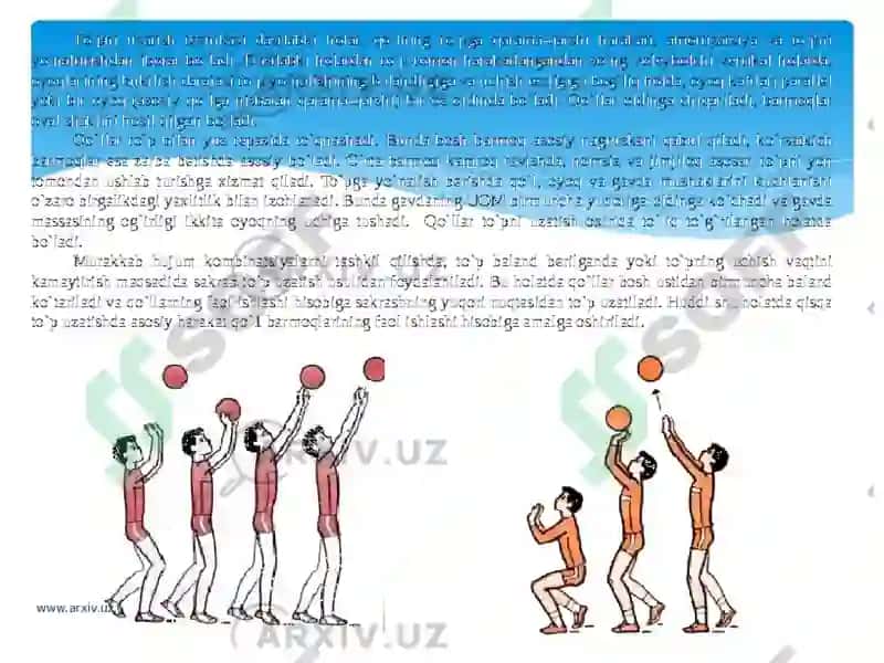 Voleybol oʻyinida toʻpni oʻyinga kiritish texnikasi 3