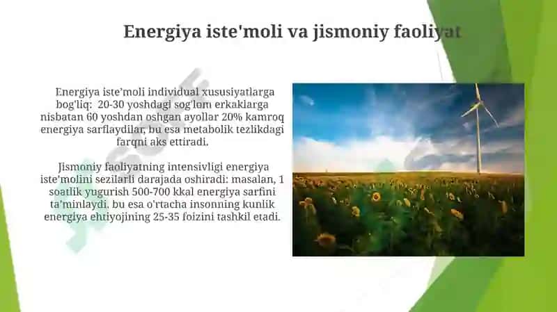 Energiya Balansi va Regulyatsiyasi 3