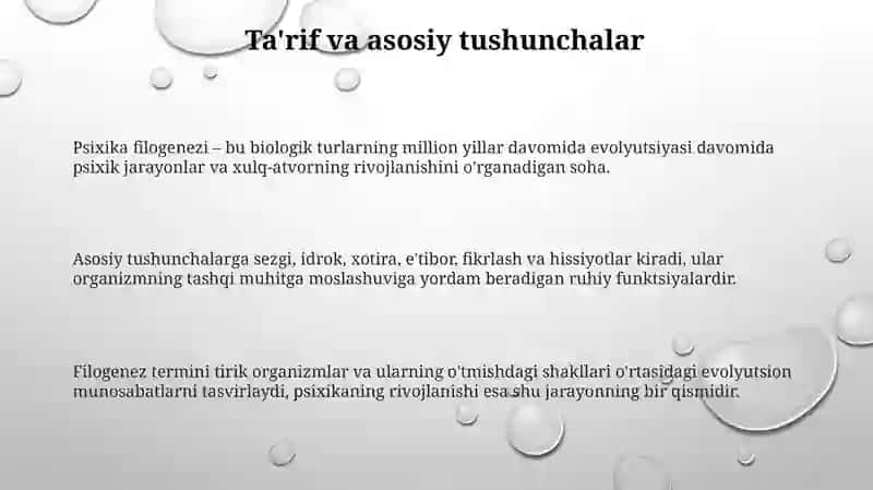 Psixikaning filogenetik taraqqiyoti 3