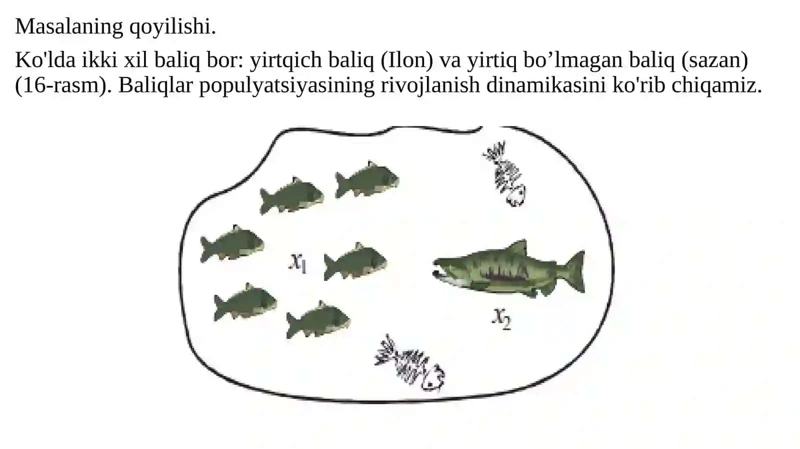 O'zarota'sirqiluvchi populyatsiyalar dinamikasi 3
