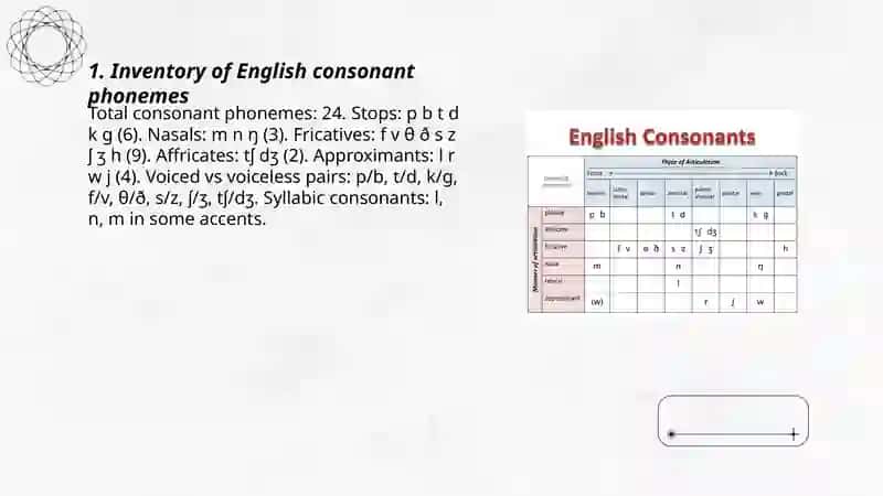 The system of consonant phonemes in english 3
