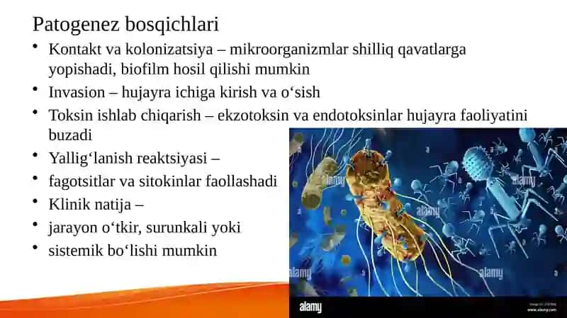Umumiy infeksion jarayon haqida tushuncha 3