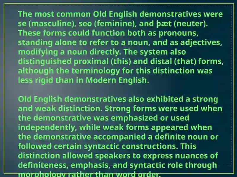 The Evolution of Word Changes in Demonstrative Pronouns 3