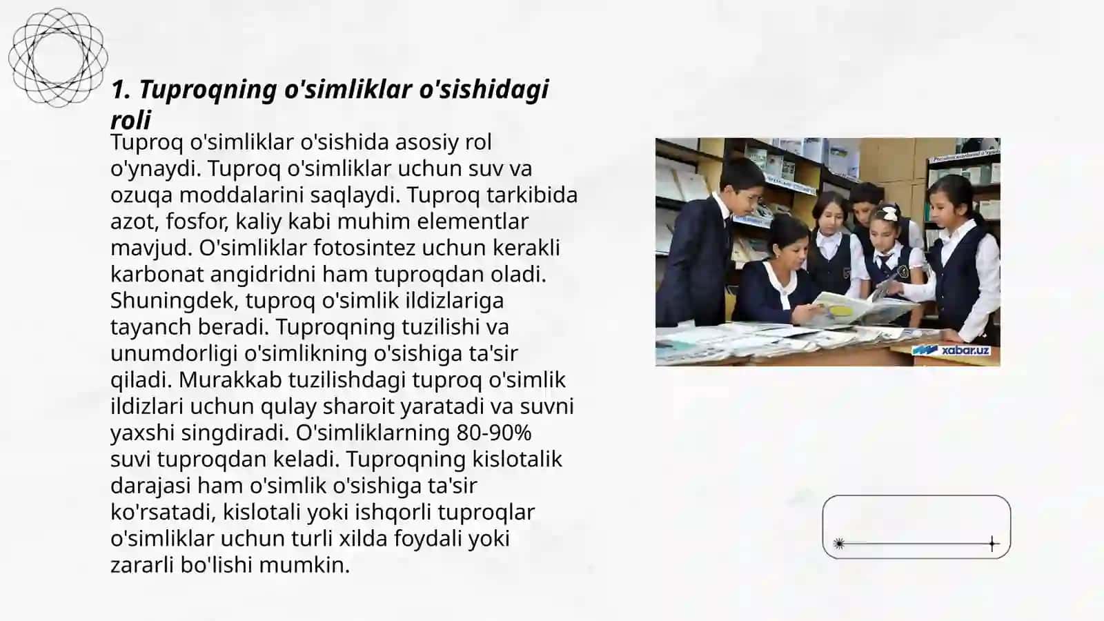 Tuproqning o'simliklar o'sishidagi roli 3
