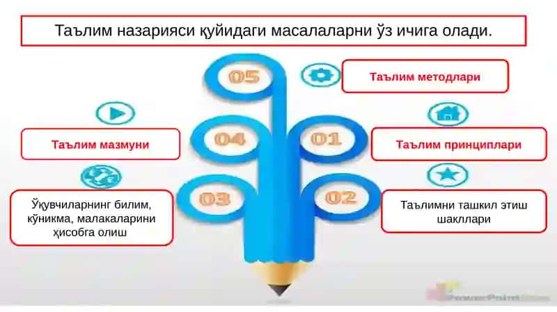 Дидактика–таълимназарияси 3