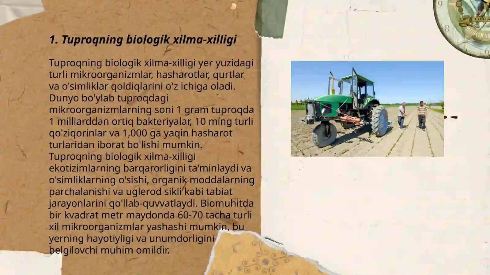 Tuproq ekologiyasi 3