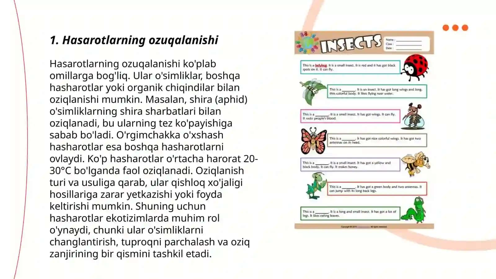 Hashoratlar turkumi 3
