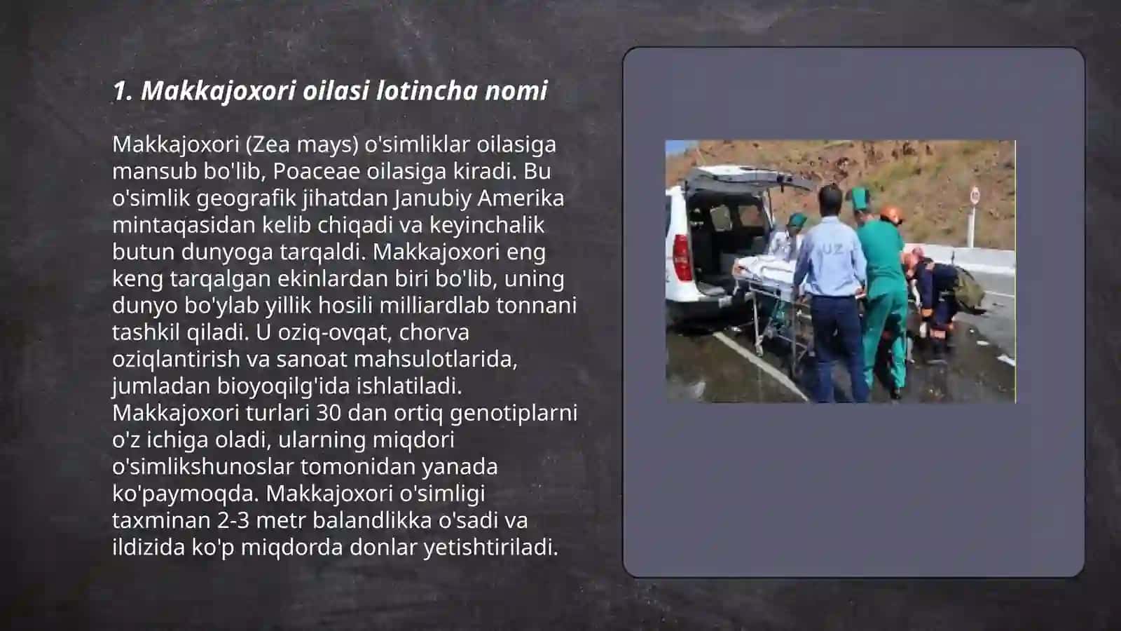 Makkajoxori 3