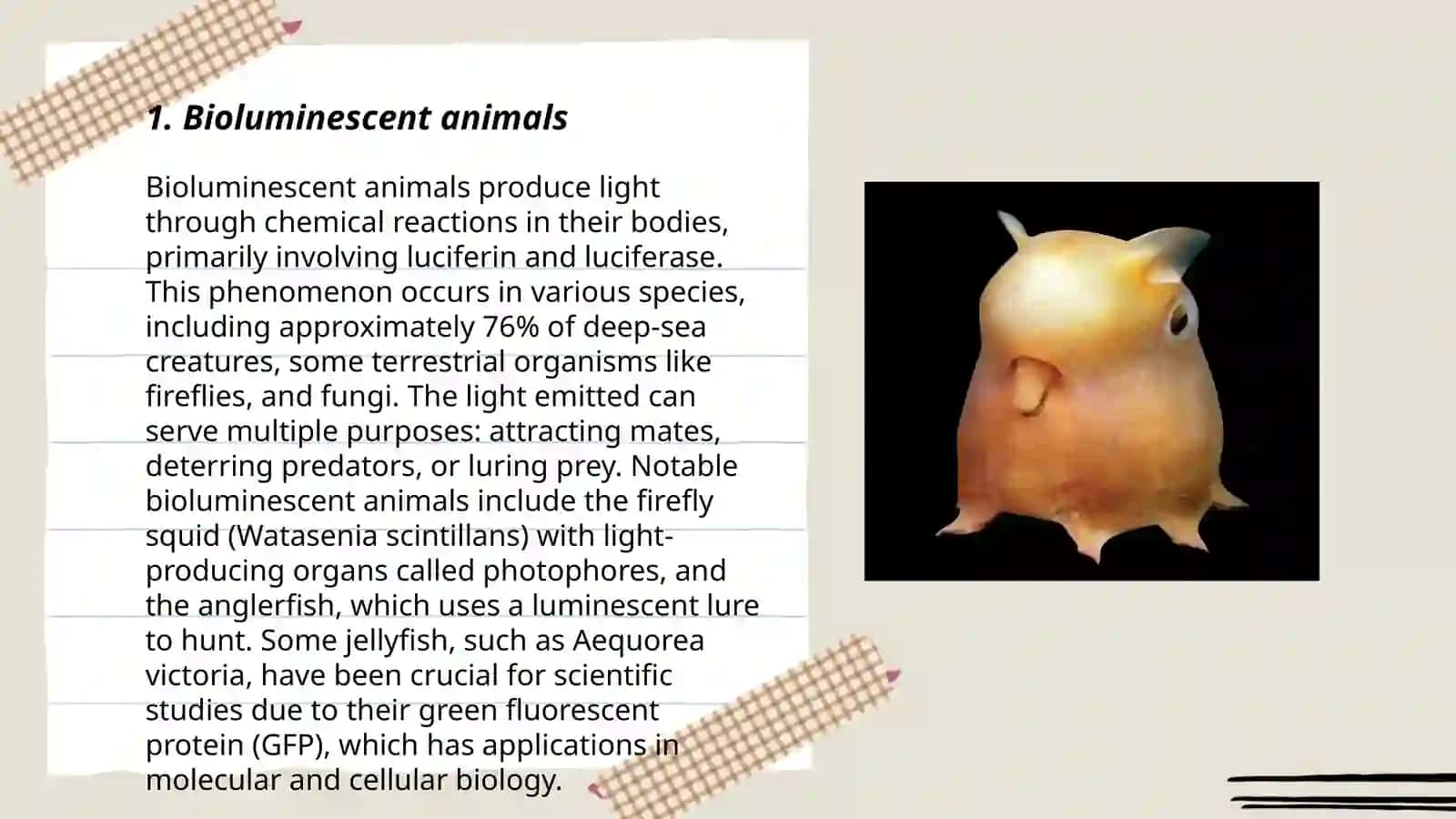 Strange animal 3