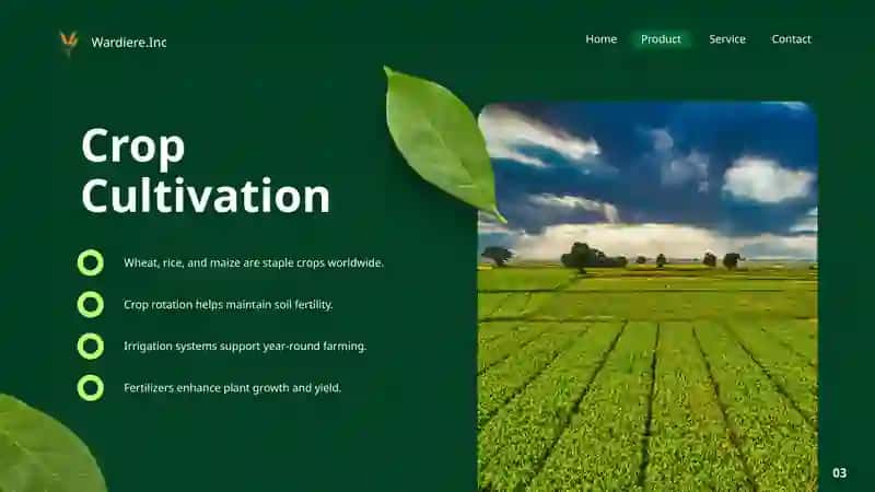 Agriculture Presentation 3