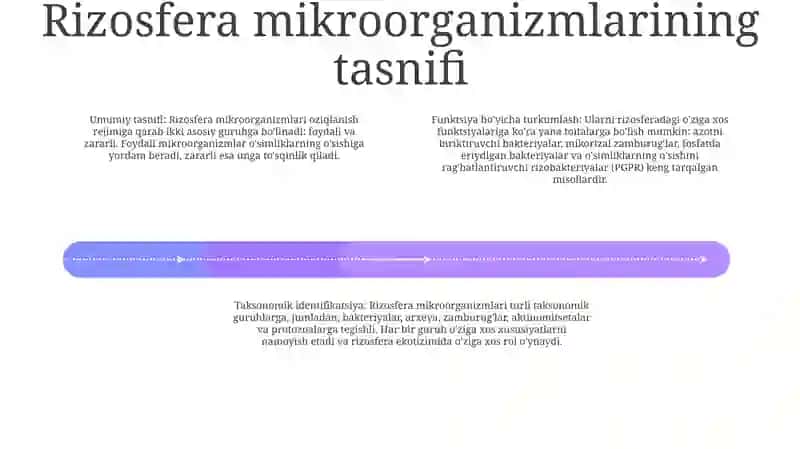 Risozfera Mikroorganizmlarni Turlari Va Sistematikasi 3