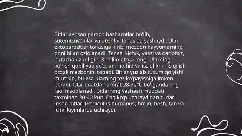 Bitlar haqida 3