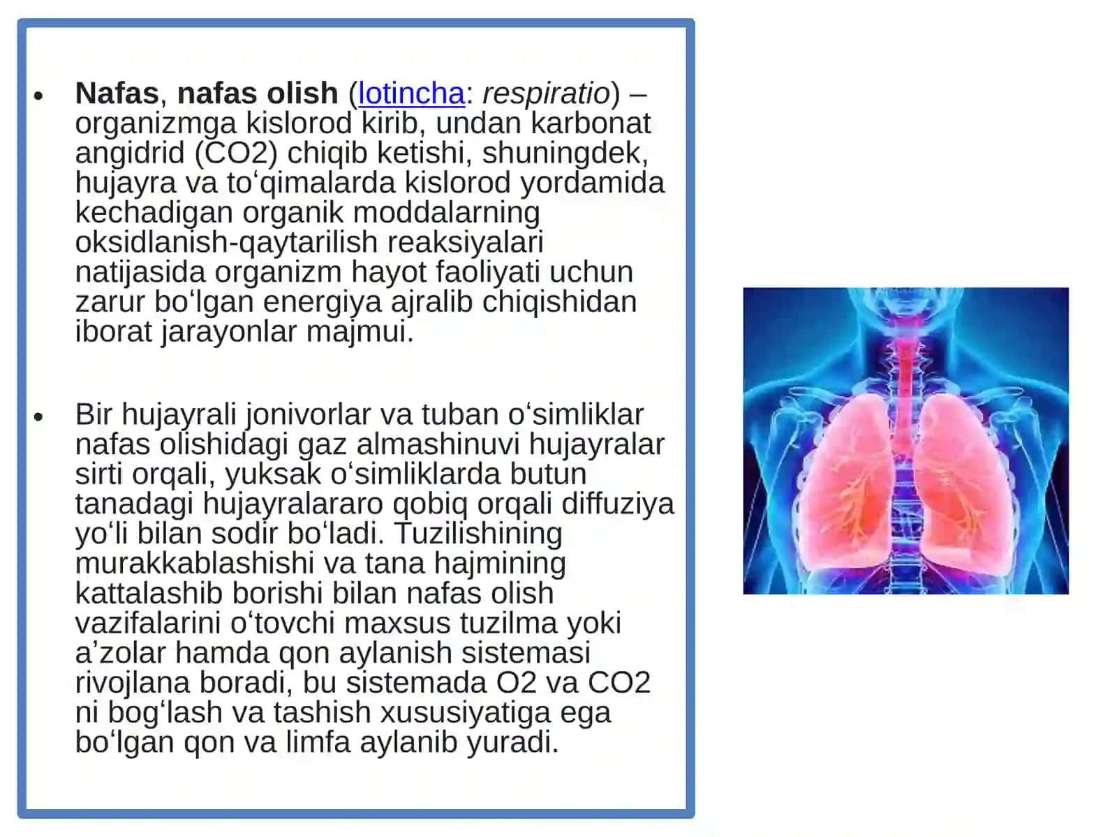 NAFAS OLISH TIZIMI TARAQQIYOTI 3