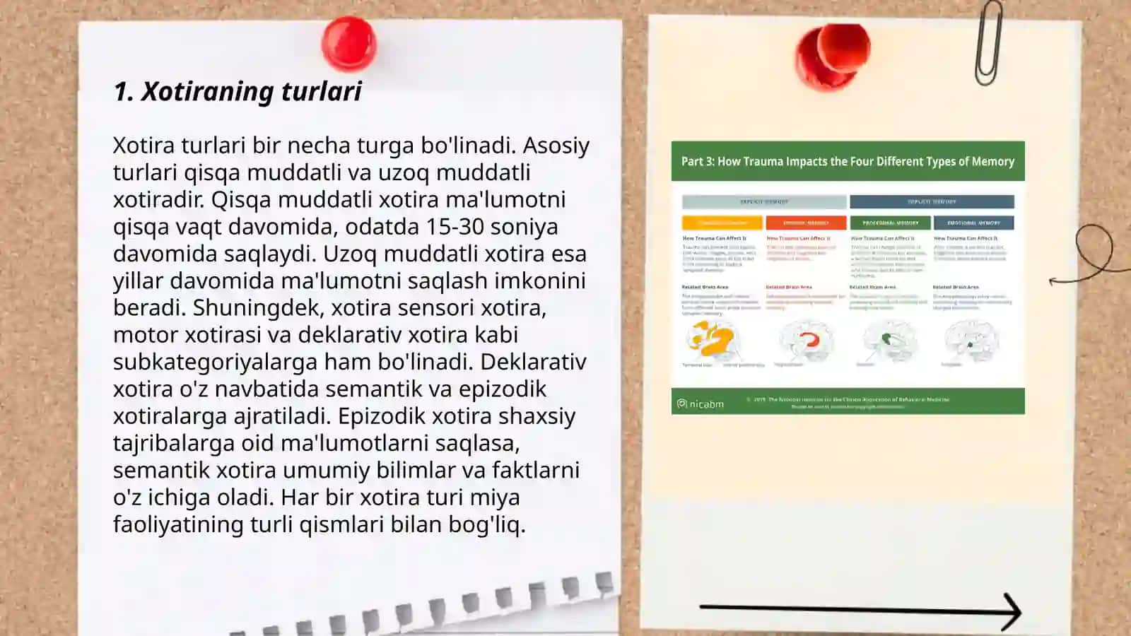 Bilish jarayonlari-xotira haqida umumiy tushuncha 3