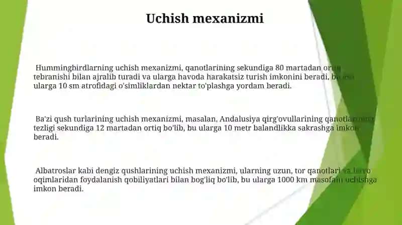 Qushlarning harakatlanish xususiyatlari 3