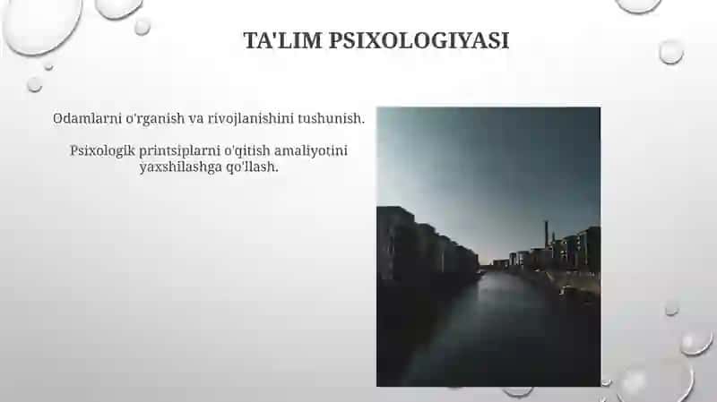 Ta'lim Psixologiyasi 3