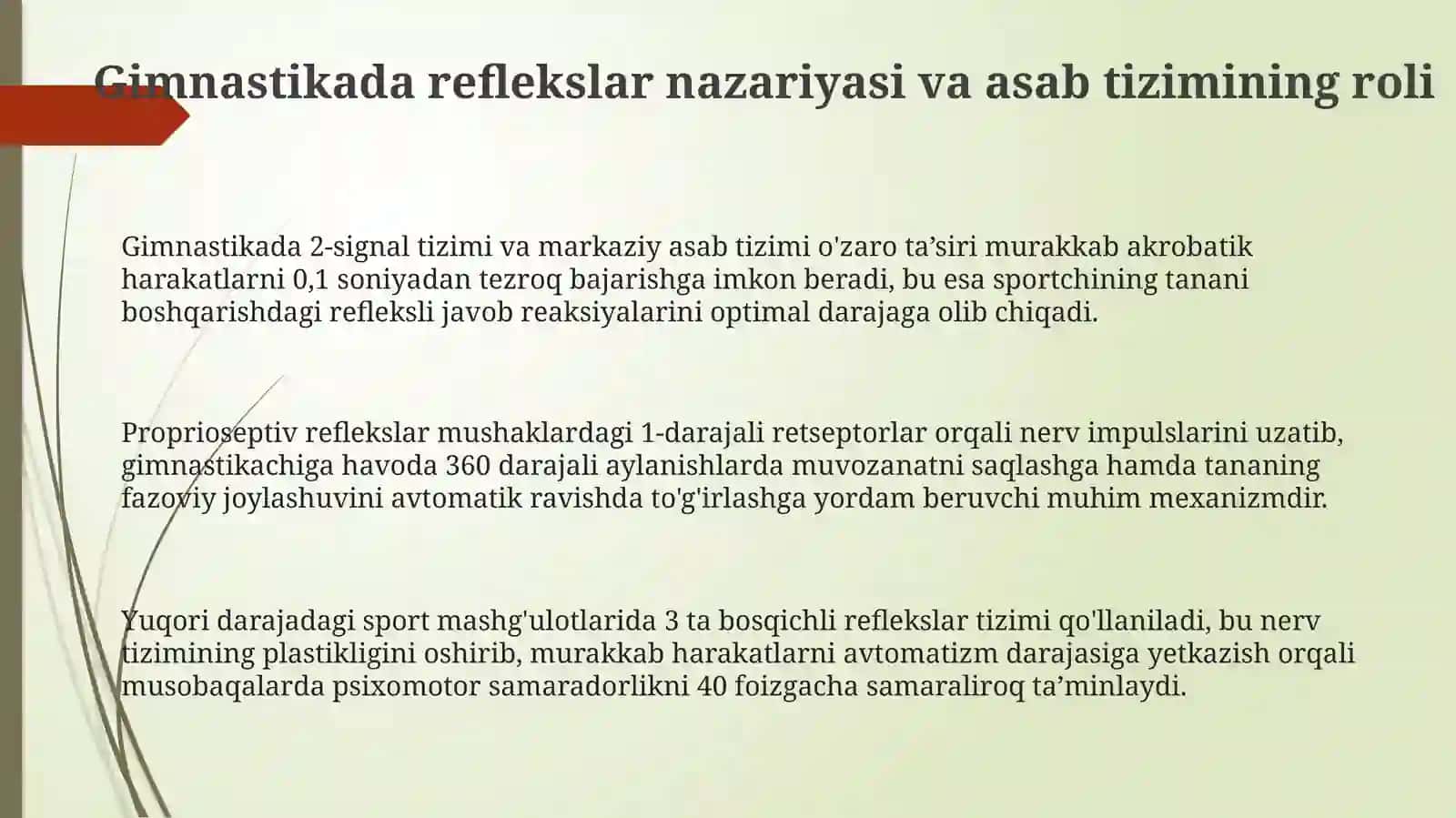 Sportgimnastikasidareflektoryondashuv 3