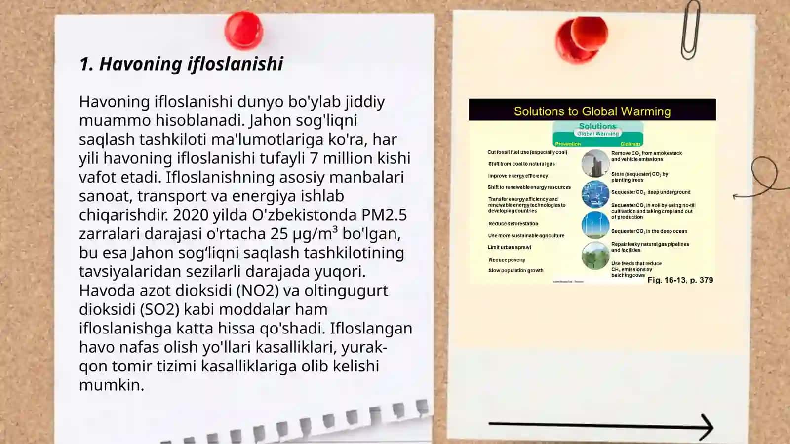 Global ekologik muommolar 3