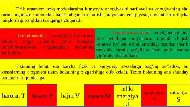 Bioenergetika 3