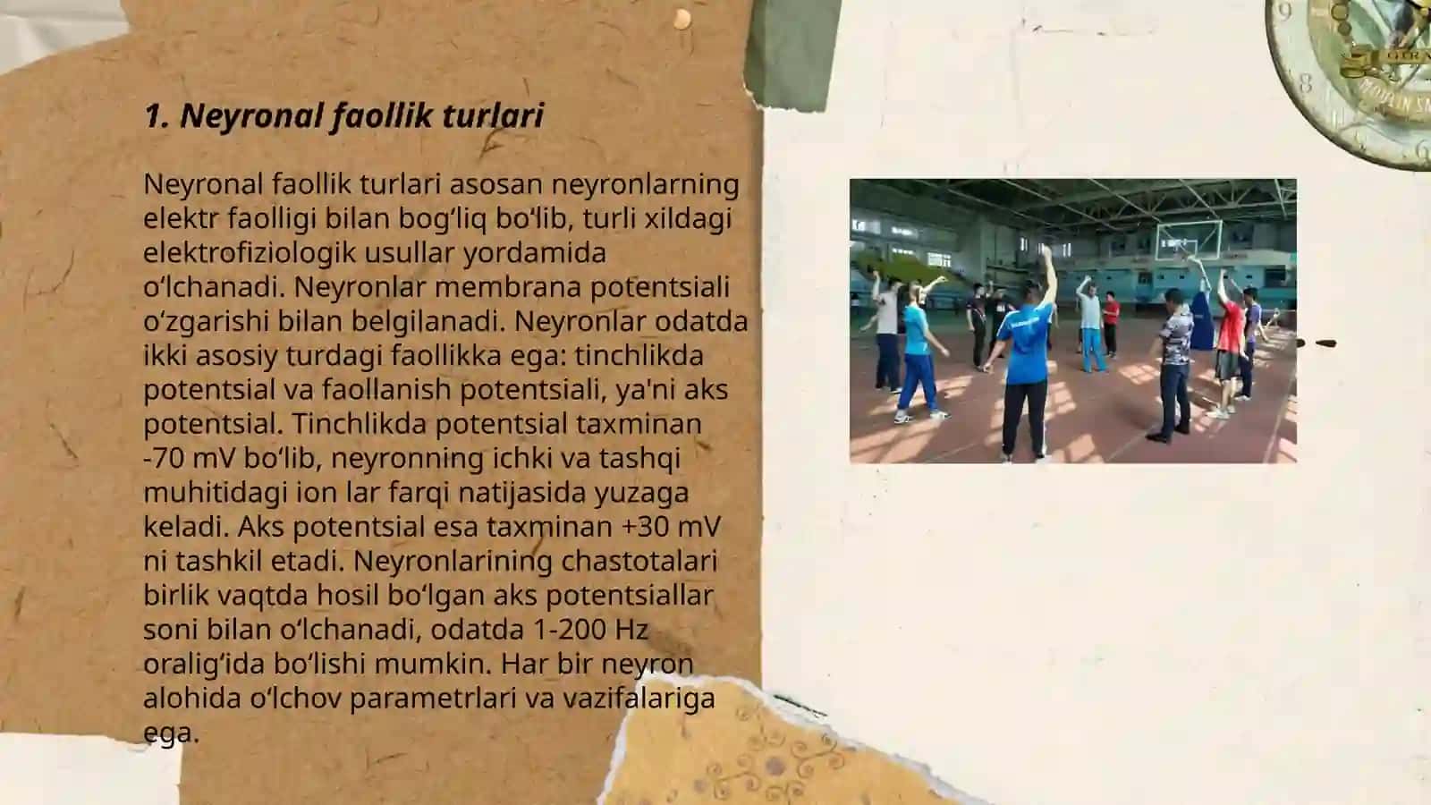 Neyronal faollik turlari 3