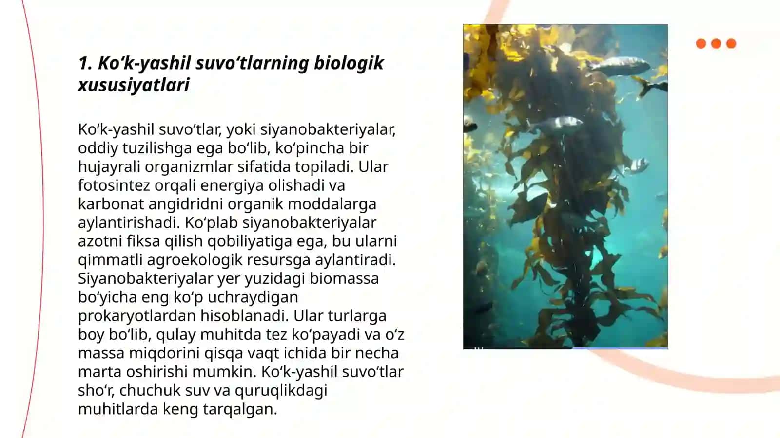 Koʻk-yashil suvoʻtlar 3