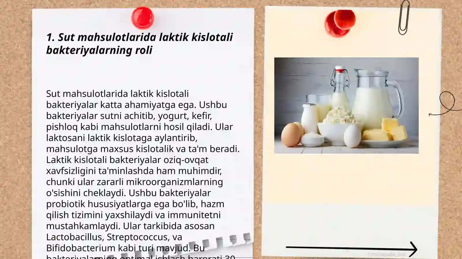 Mikroorganizmlarning O'rni 3
