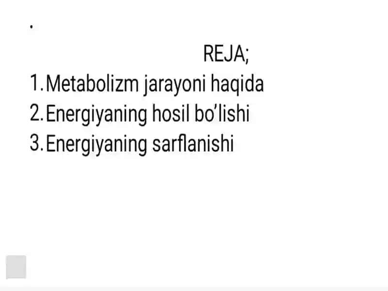 Metabolizm 3