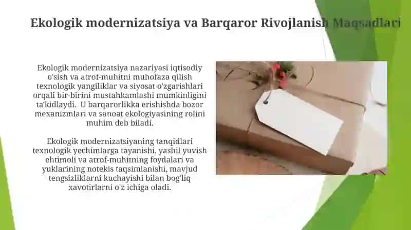 Ekologik modernizatsiya 3