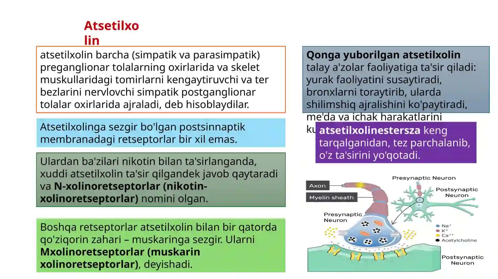 AVTONOM NERV TIZIMI MEDIATORLARI 3