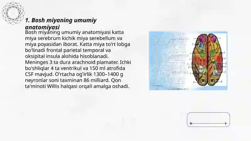 Bosh va orqa miya mavzusi 3