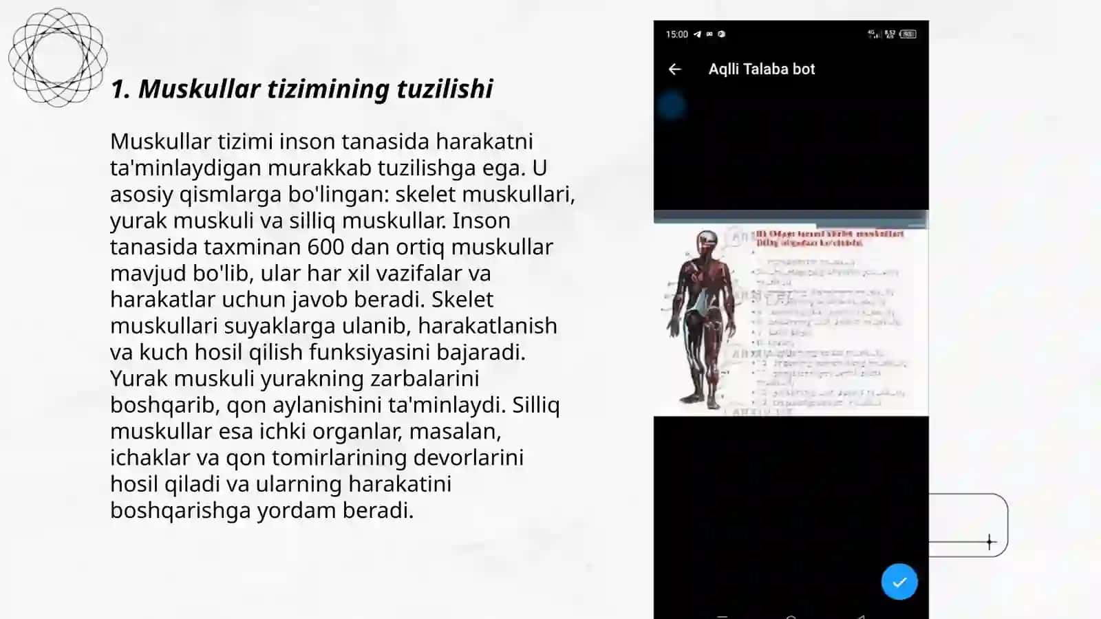 Muskullar tizimi 3