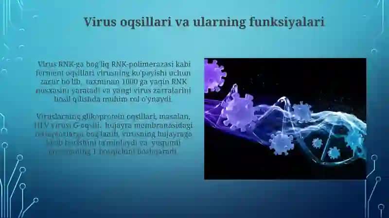 Viruslar biokimyosi 3