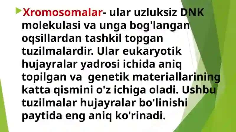 Xromosoma. Xromosomalarning molekulyar tuzilishi. 3