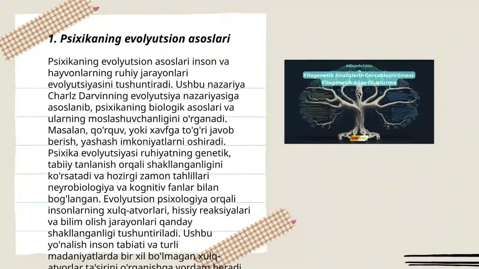 Psixikaning filogenetik taraqiyoti 3