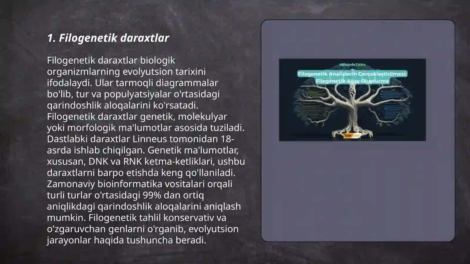 Filogenetik daraxtlar 3