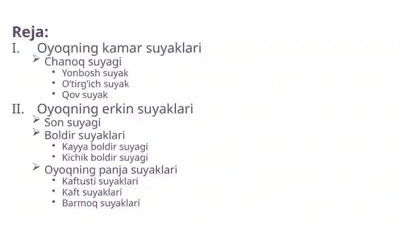 Oyoqsuyaklari 3