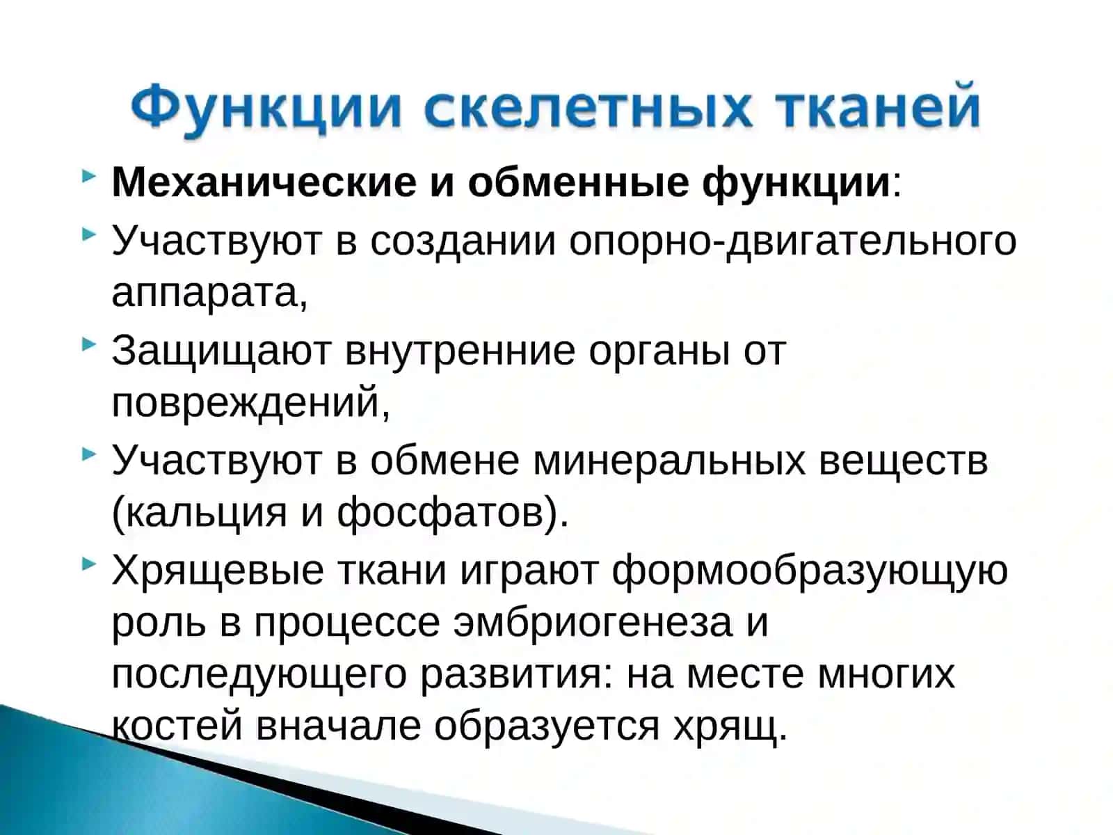 Скелетные ткани: Хрящевая и костная ткани 3