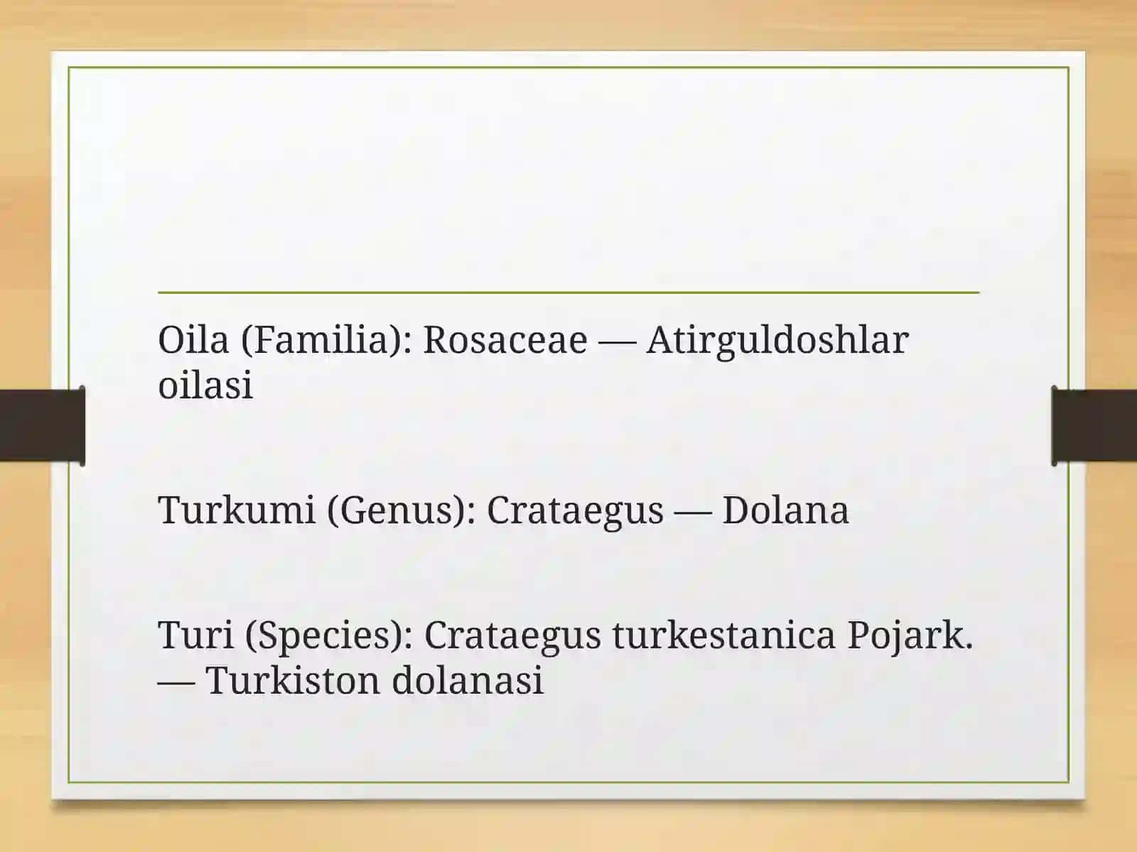 Turkiston dolanasi-Crataegus turkestanica Pojarkósimligi 3