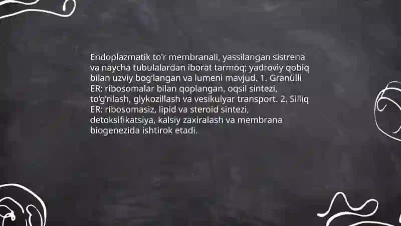 Setoplazma organoidlari endoplazmatik to'r 3