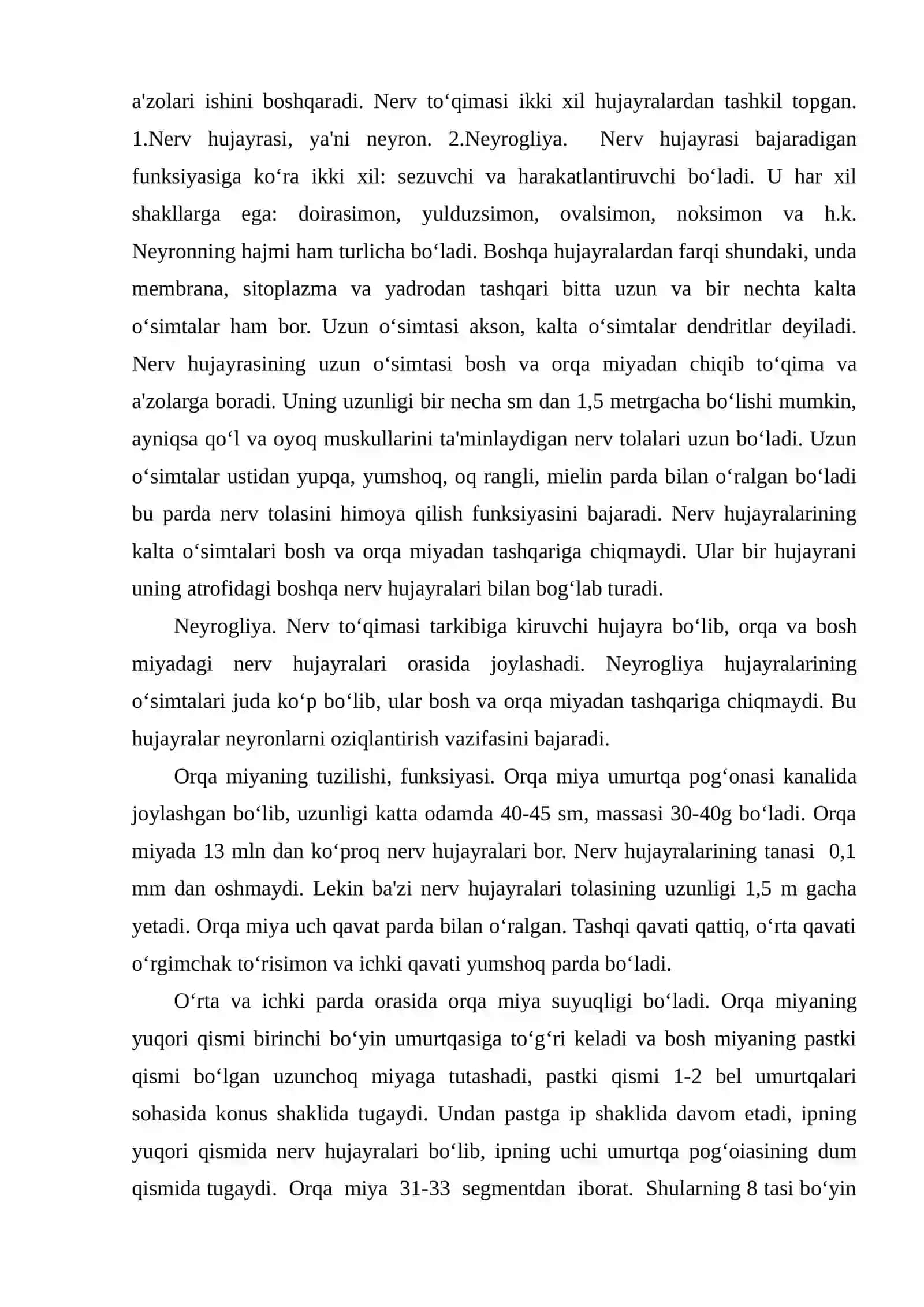 Orqa miyaning tuzilishi 3