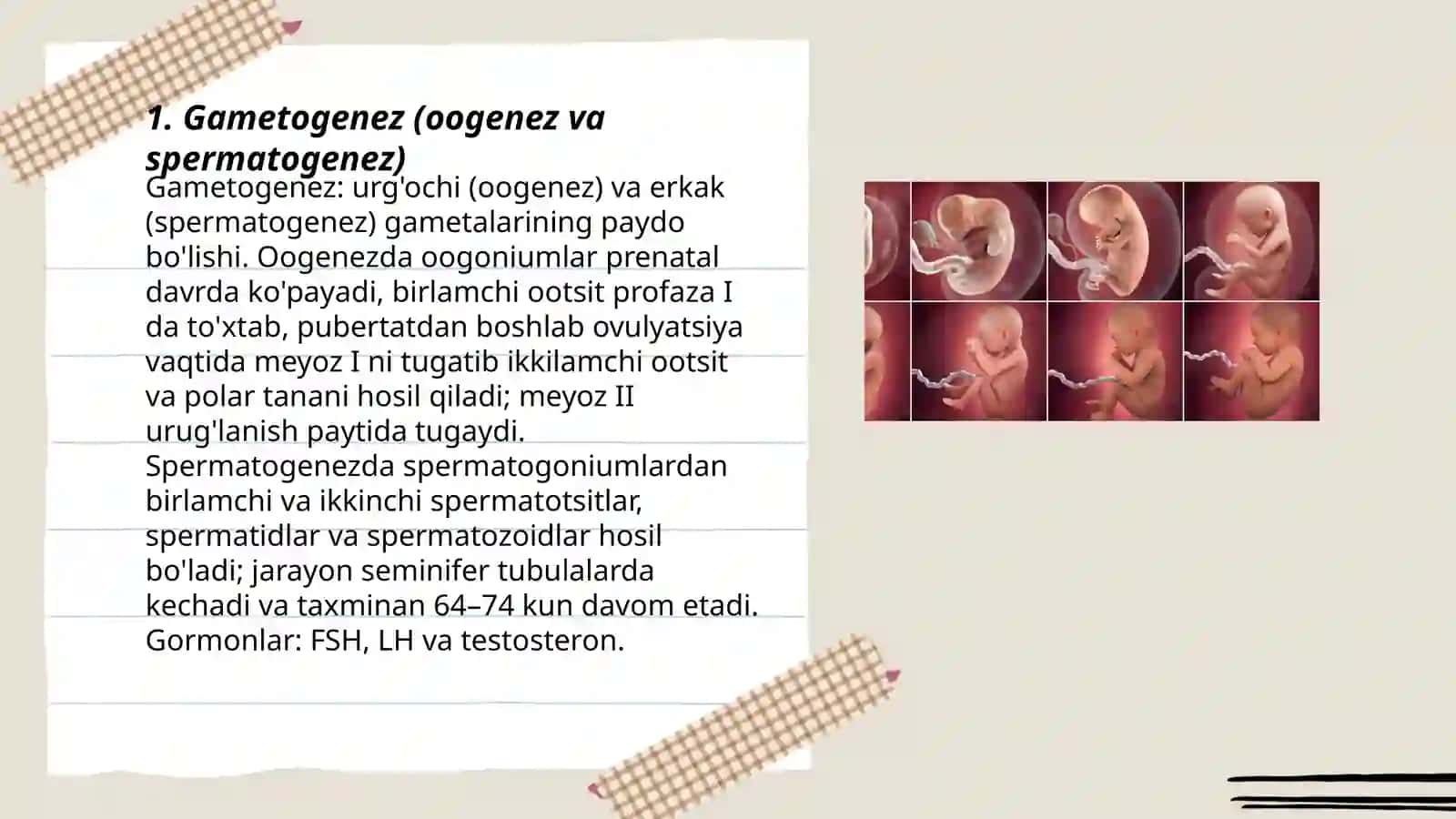 Odam emriologiyasi 3