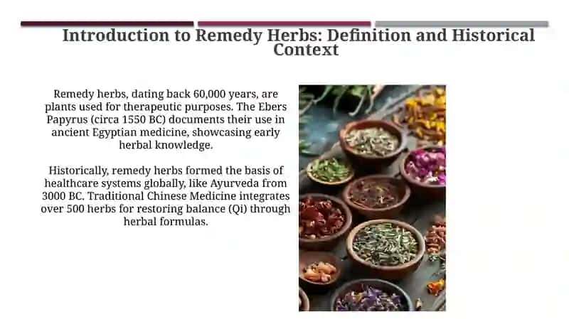 Remedyherbs 3