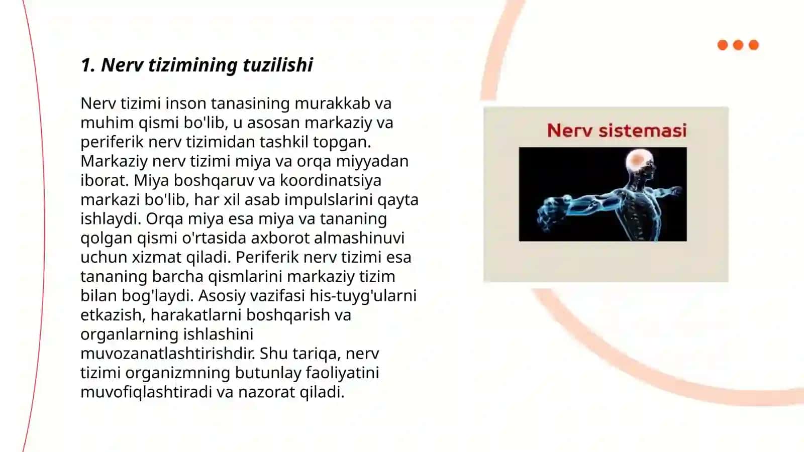 Nerv sistemasi va uning faoliyati 3