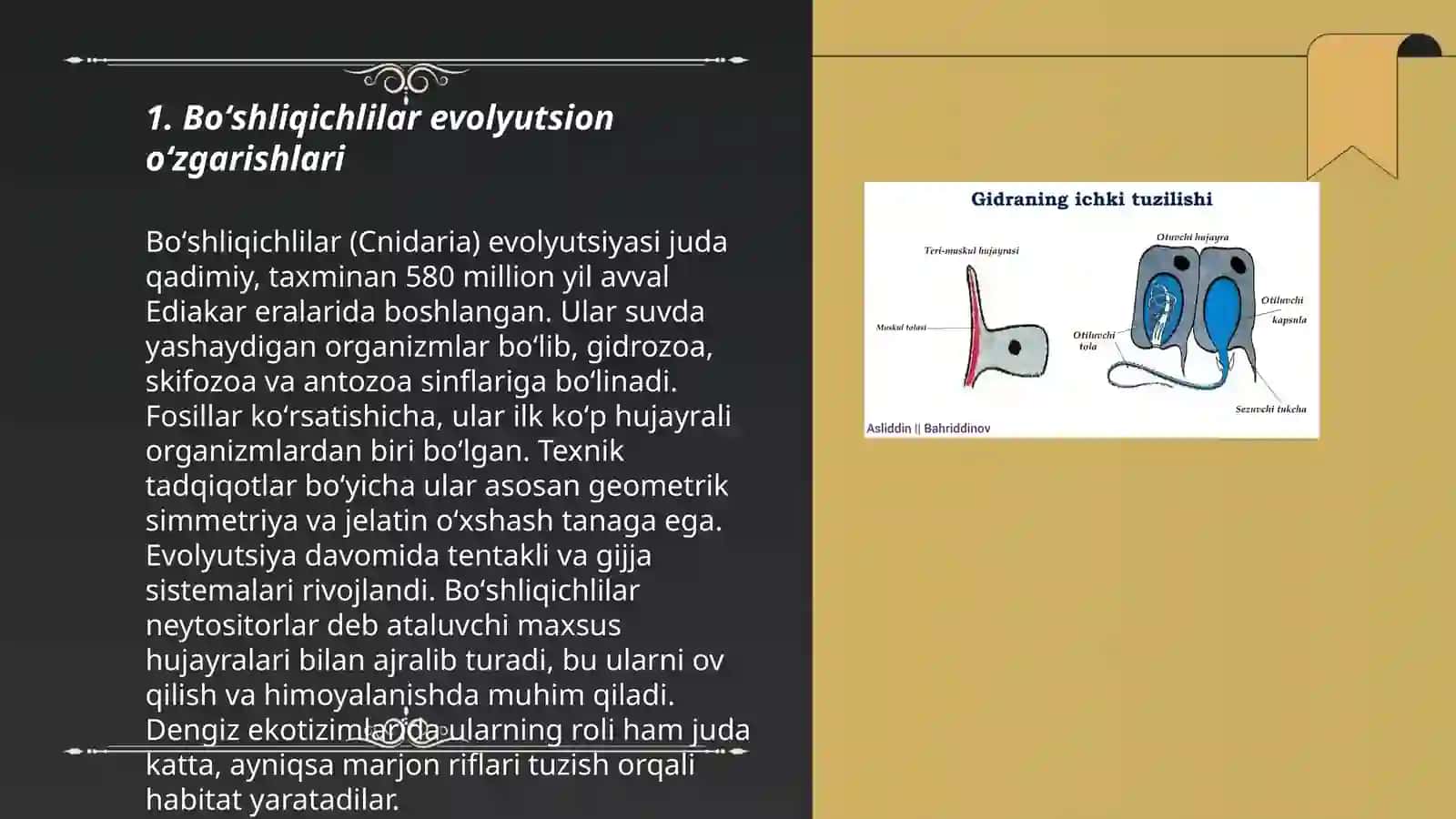 Boʻshliqichlilar va taroqsimonlar filogeniyasi 3