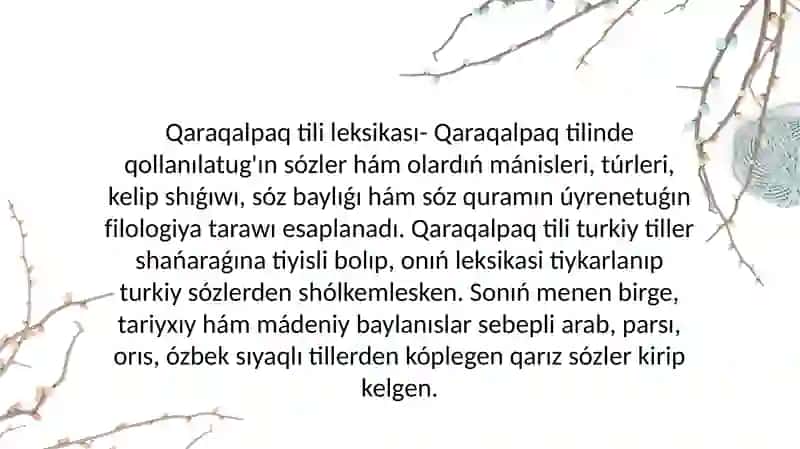 Qaraqalpaq tili leksikasining bayiw dereklari 3