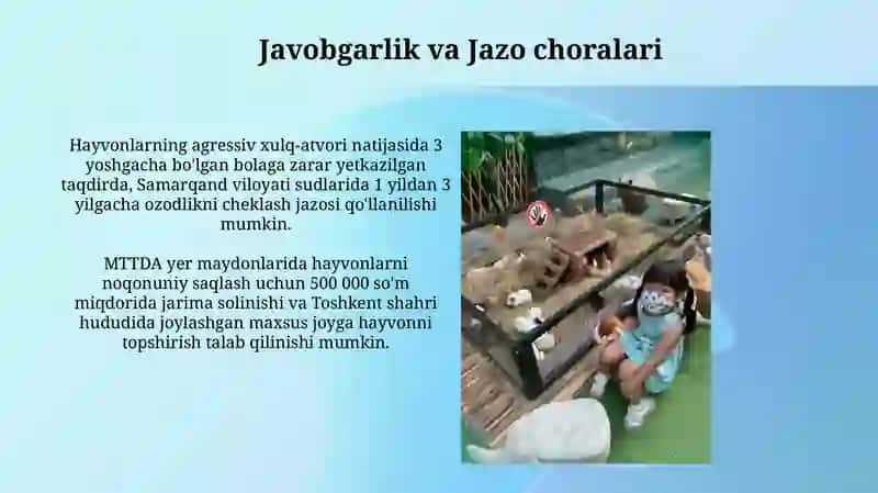 Hayvonlarni MTT Da Yer Oʻyin Maydonchalarida Saqlash Shartlari 3